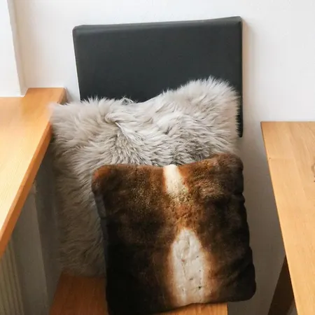 Apartment Senta